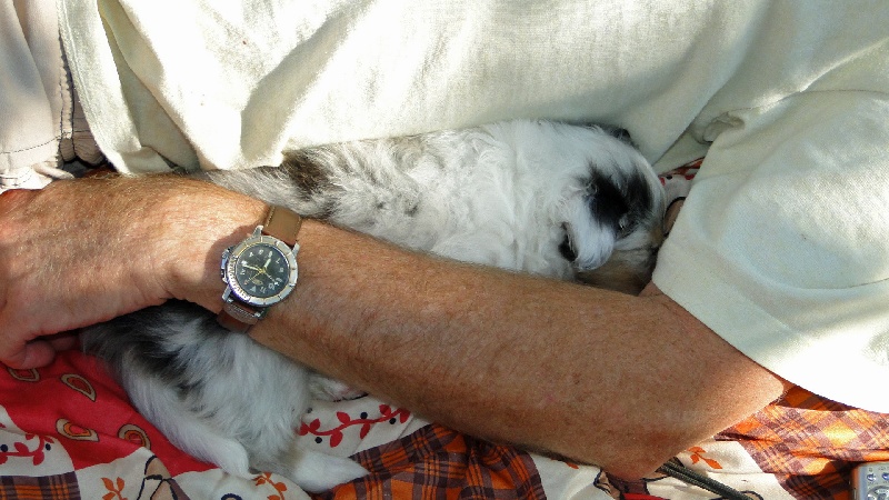 Galicia mi sueno of Wind River