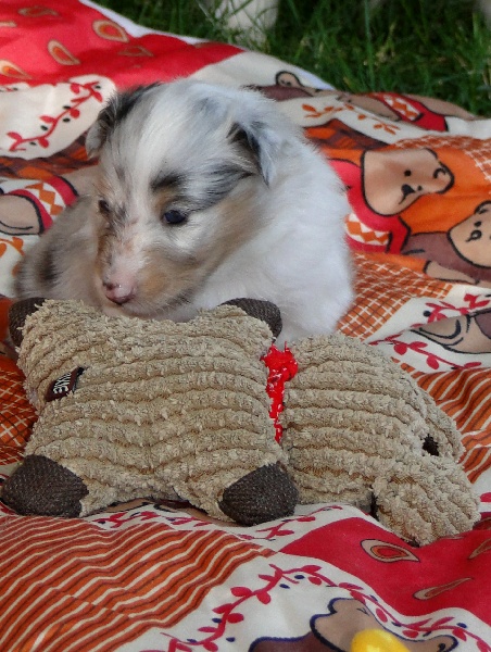 Galicia mi sueno of Wind River