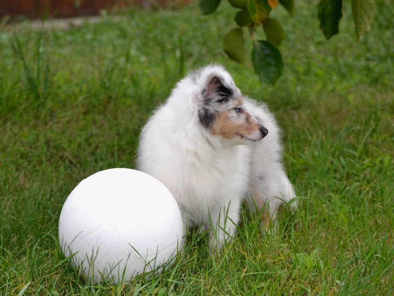 Galicia mi sueno of Wind River