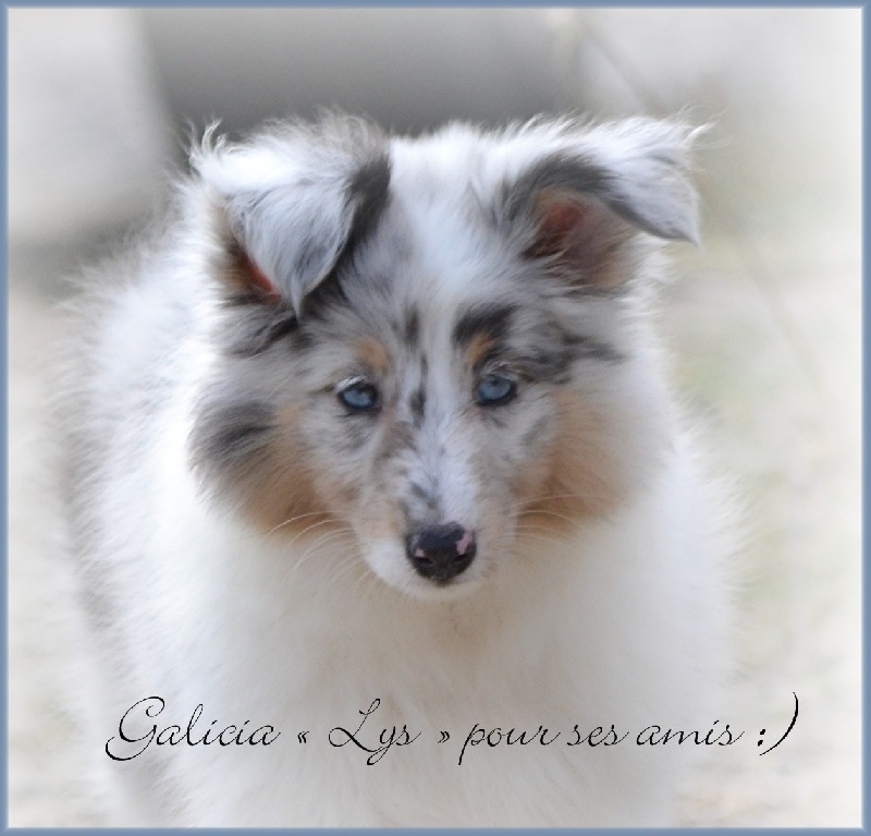 Galicia mi sueno of Wind River