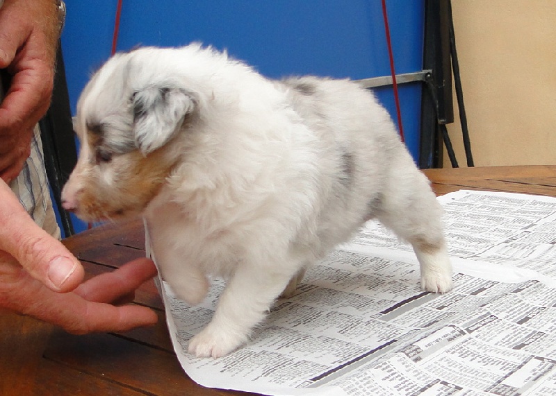 Galicia mi sueno of Wind River