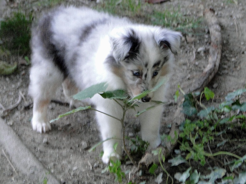 Galicia mi sueno of Wind River