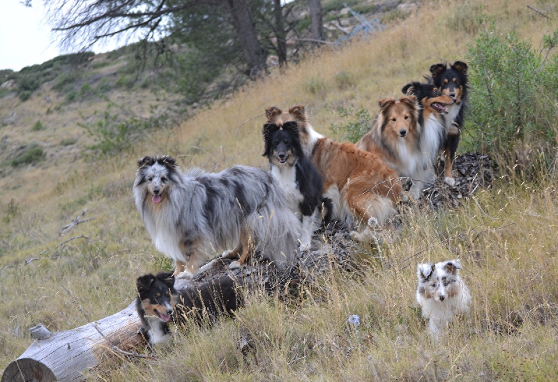 Galicia mi sueno of Wind River