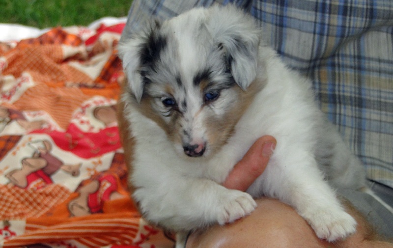 Galicia mi sueno of Wind River