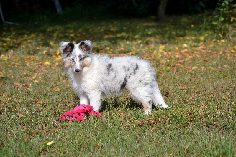 Galicia mi sueno of Wind River