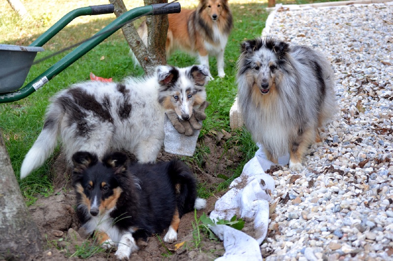 Galicia mi sueno of Wind River