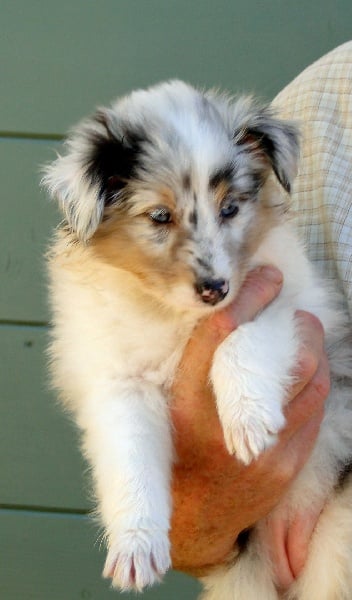 Galicia mi sueno of Wind River