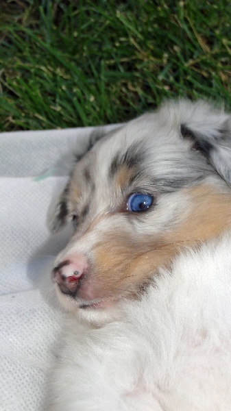 Galicia mi sueno of Wind River