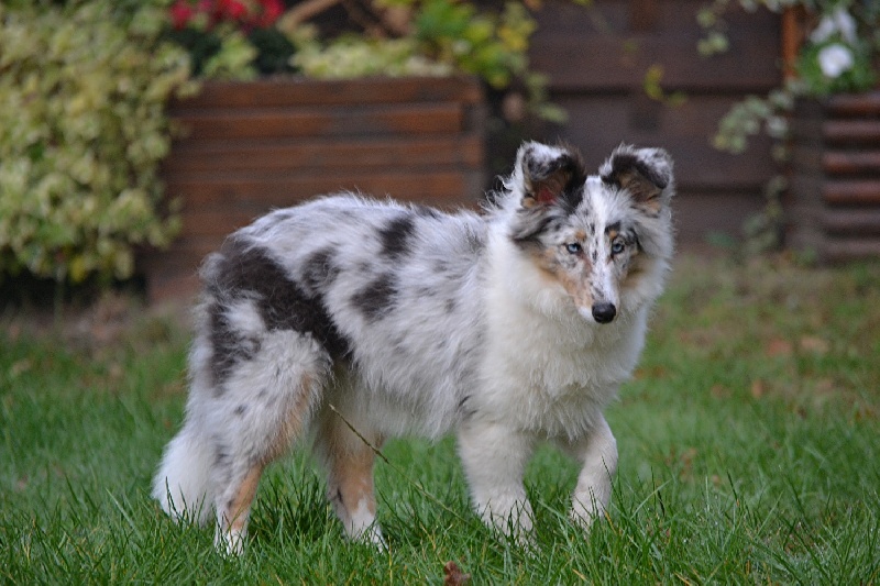 Galicia mi sueno of Wind River