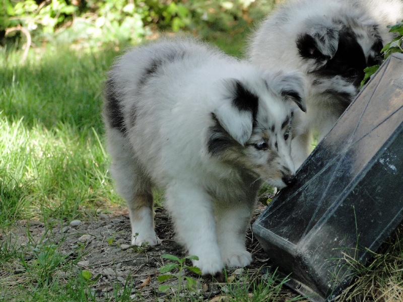 Galicia mi sueno of Wind River