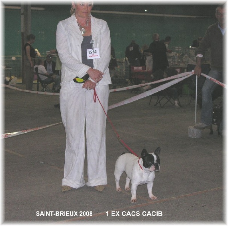 CH. Bleuenn de la vallee de l'iroise - CACS et CACIB