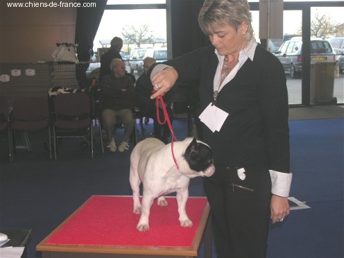 CH. Bleuenn de la vallee de l'iroise - 2ième EXCELLENT en classe jeune