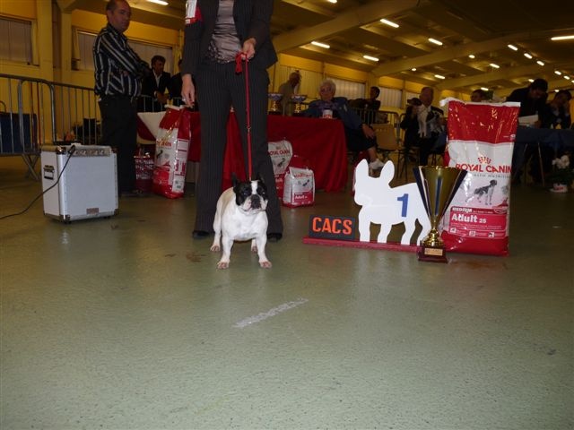 CH. Bleuenn de la vallee de l'iroise - CACS