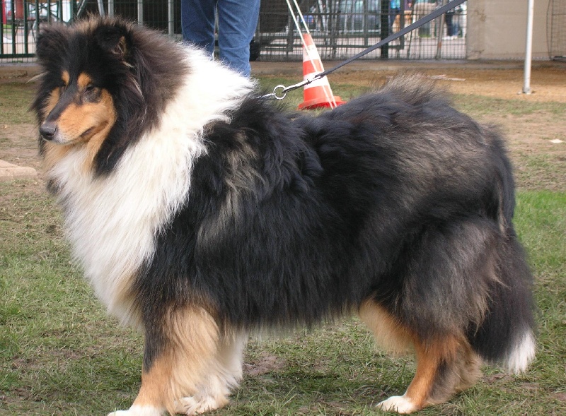 Publication : d'aubin