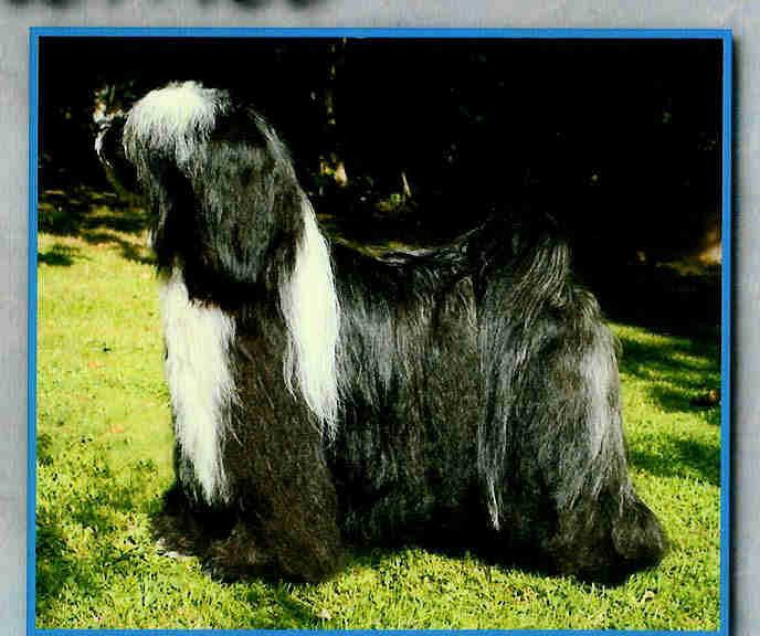 Publication : Du vent levant