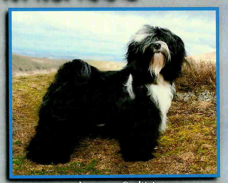 Publication : Du vent levant