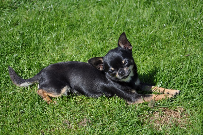 Publication : Des graines de stars