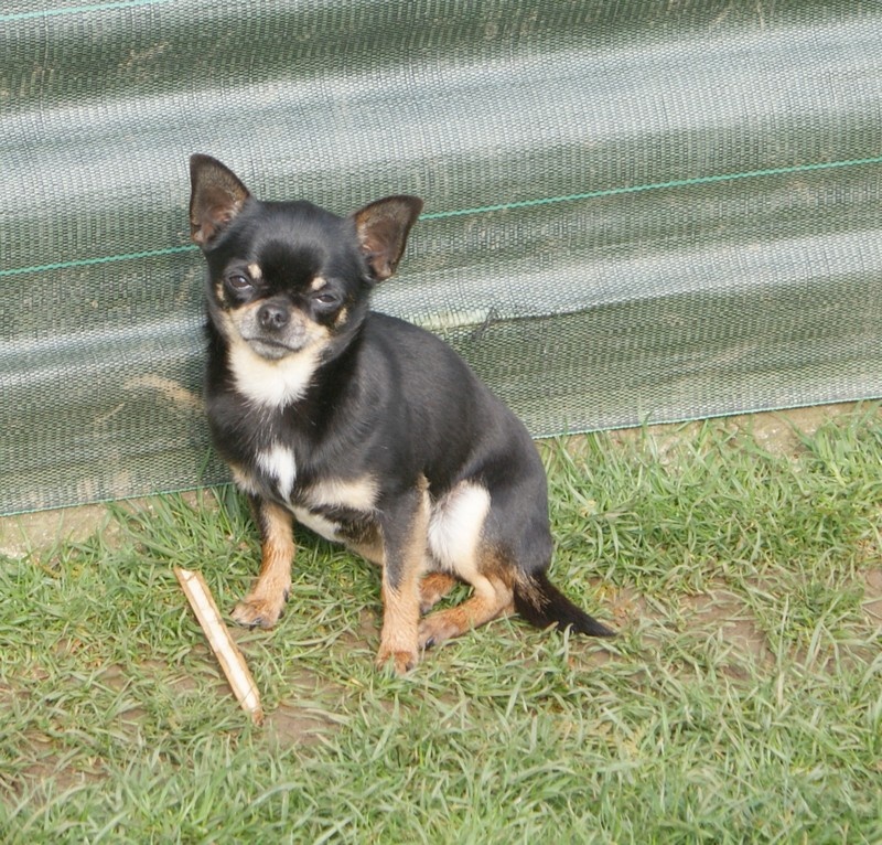 Publication : Des graines de stars