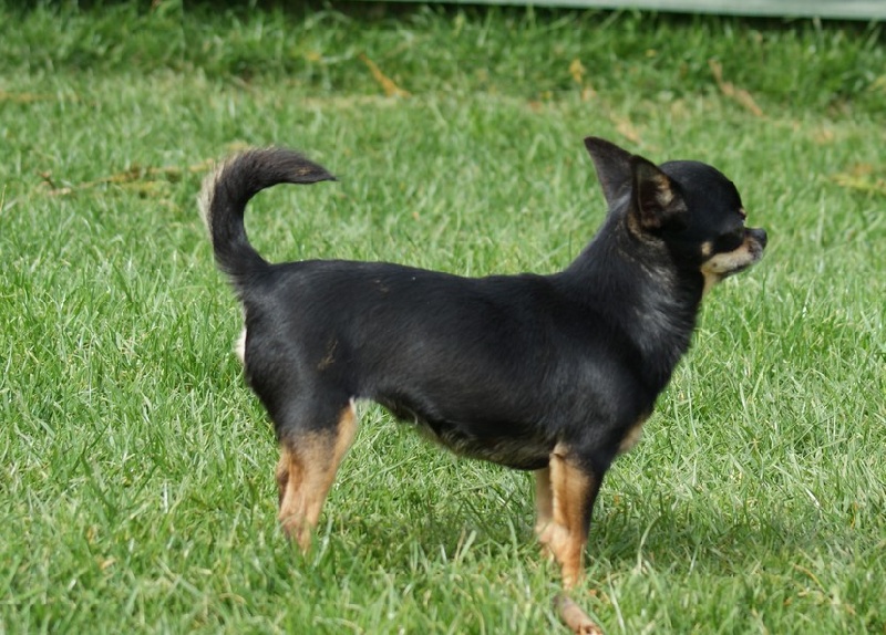 Publication : Des graines de stars