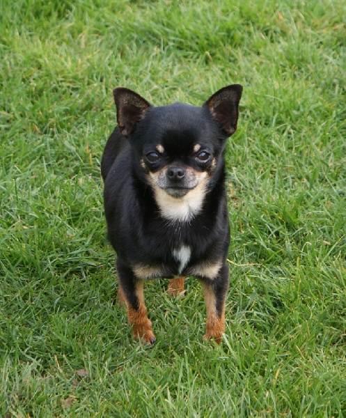 Publication : Des graines de stars