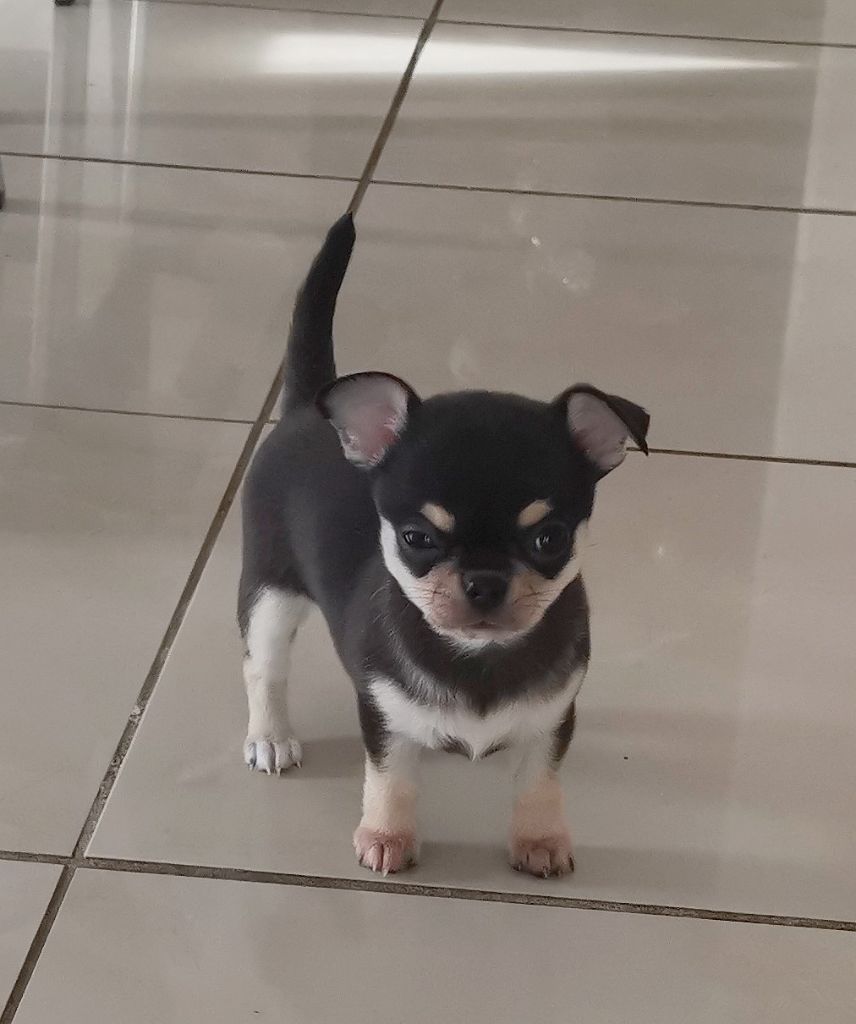 panama