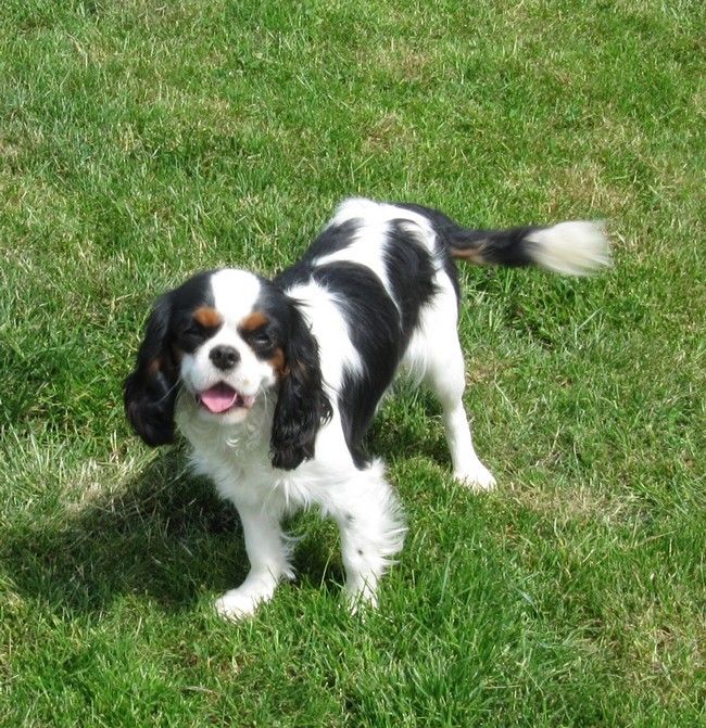 Publication : de la maison du ryez Auteur : M Natiez