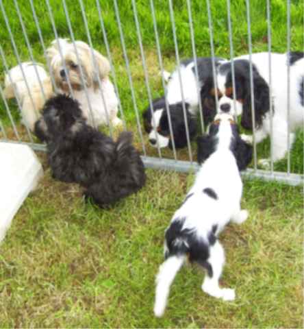 EQUINOXE de la maison du ryez