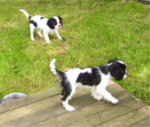 EQUINOXE de la maison du ryez