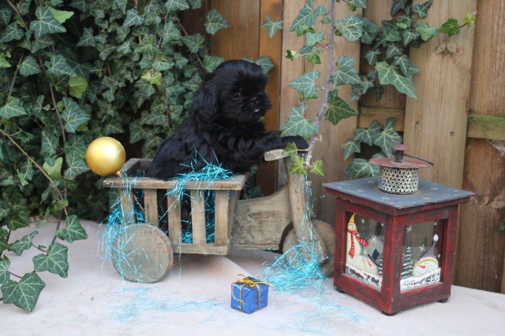 Publication : de la maison du ryez