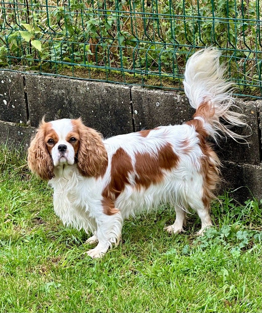 Publication : de la maison du ryez