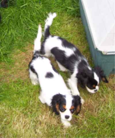 EQUINOXE de la maison du ryez