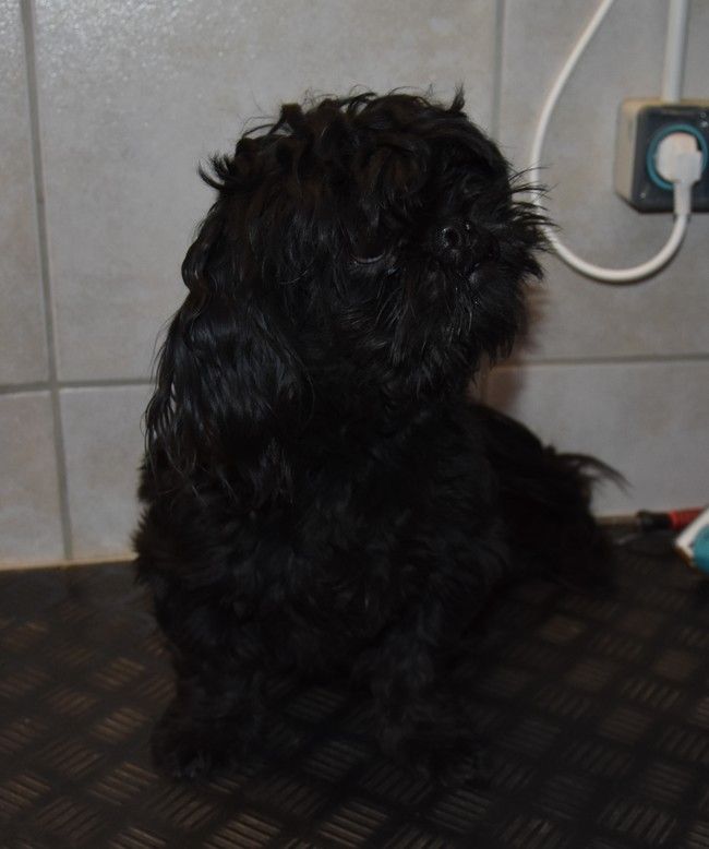 Publication : de la maison du ryez