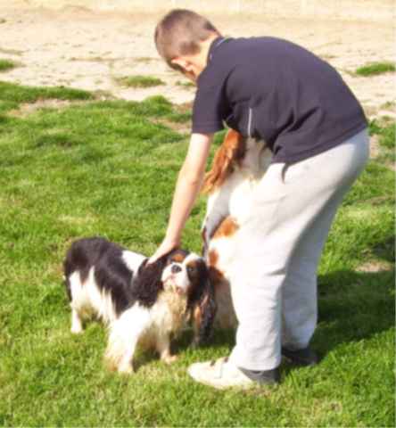 Publication : Du clos de la gardiere Auteur : natiez