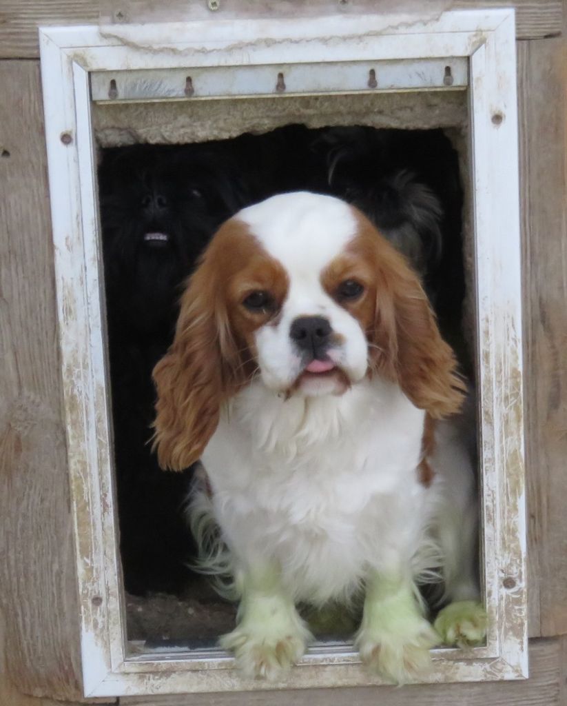 Publication : de la maison du ryez