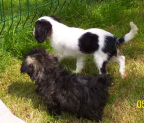 EQUINOXE de la maison du ryez