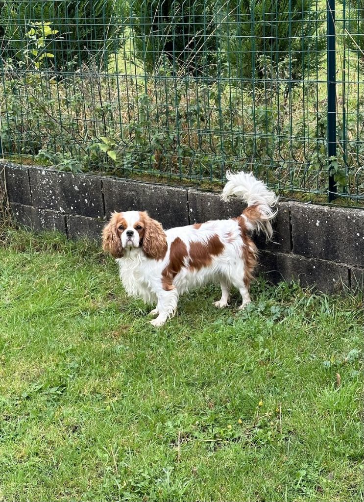 Publication : de la maison du ryez