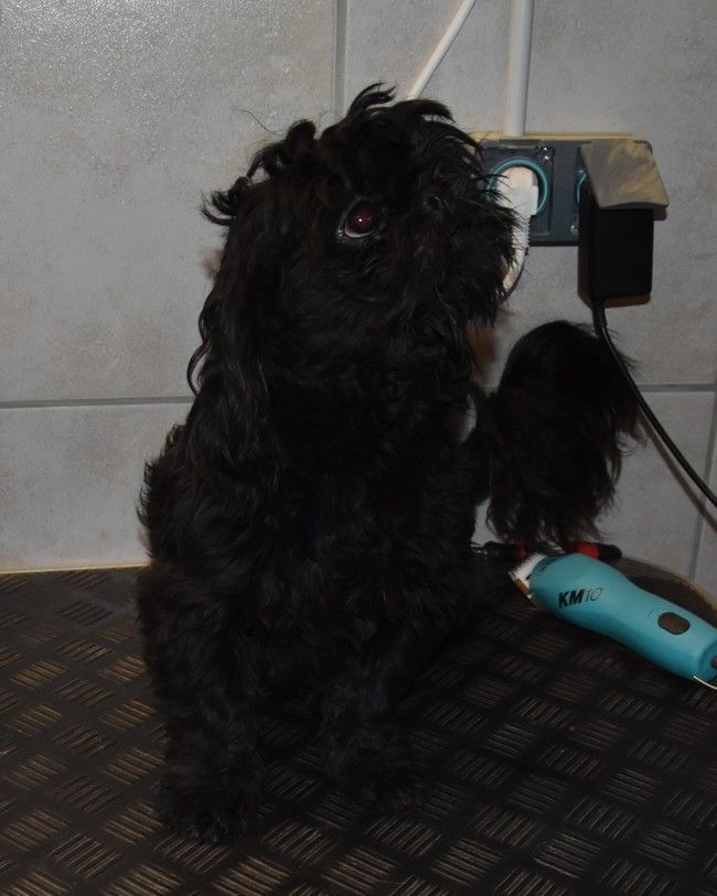 Publication : de la maison du ryez