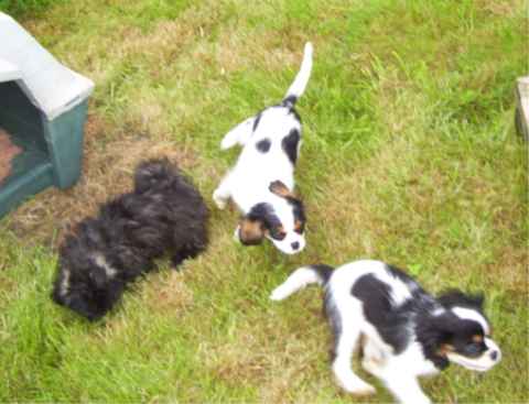 EQUINOXE de la maison du ryez