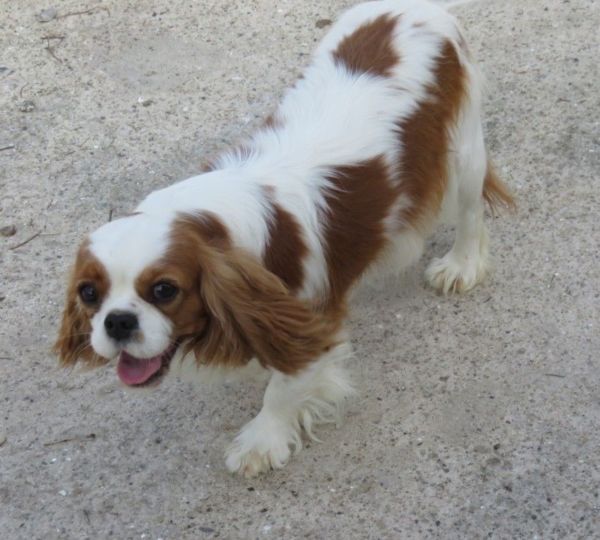 Publication : de la maison du ryez