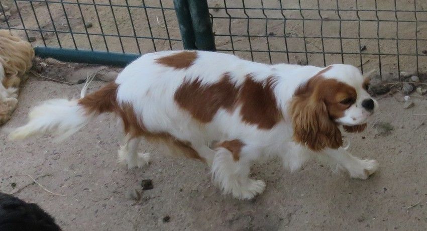 Publication : de la maison du ryez