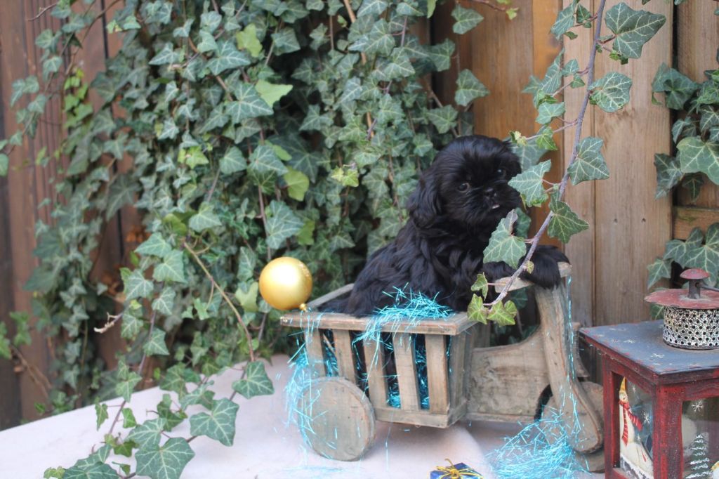 Publication : de la maison du ryez