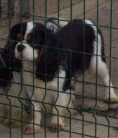 Publication : Du clos de la gardiere Auteur : natiez