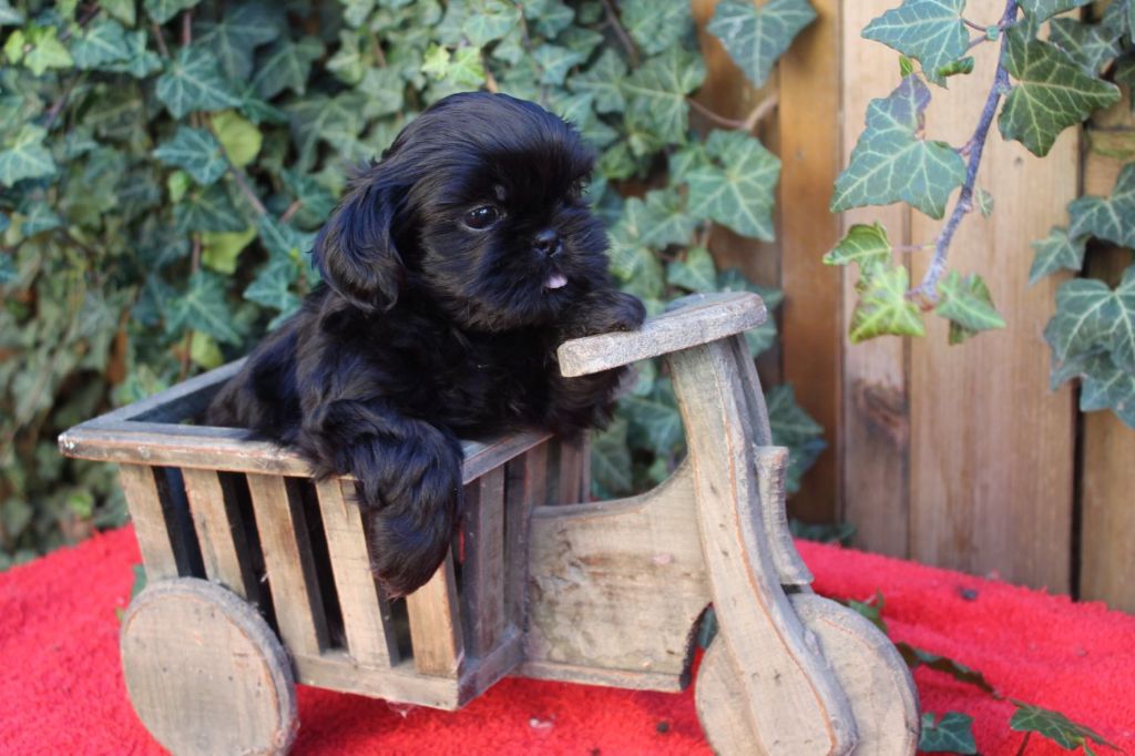 Publication : de la maison du ryez