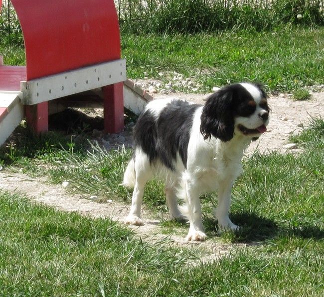 Publication : de la maison du ryez Auteur : M Natiez