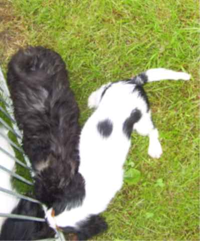 EQUINOXE de la maison du ryez