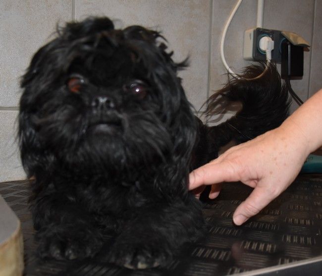 Publication : de la maison du ryez