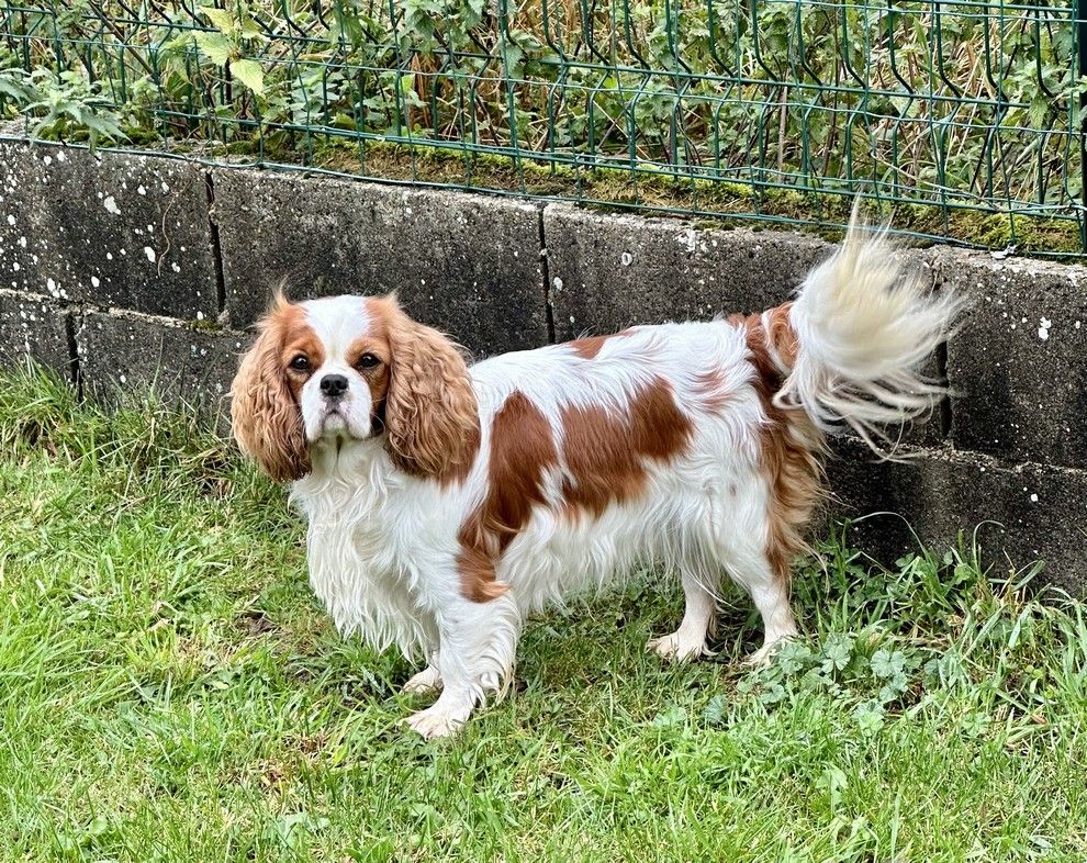 Publication : de la maison du ryez