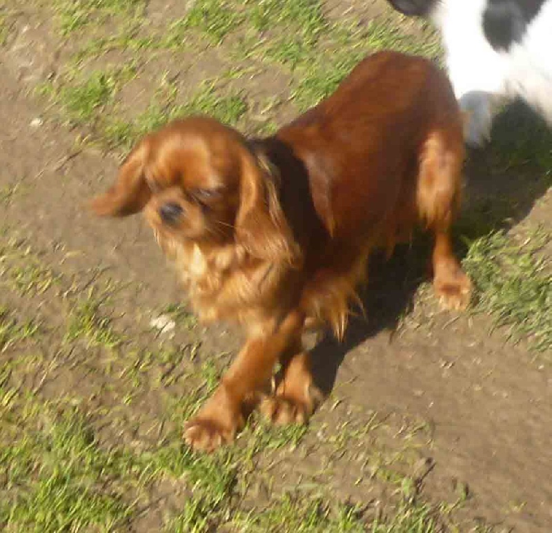 Publication : de la maison du ryez