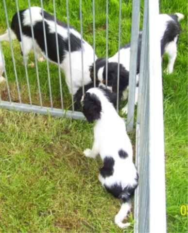 EQUINOXE de la maison du ryez