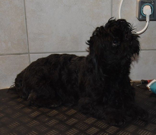 Publication : de la maison du ryez